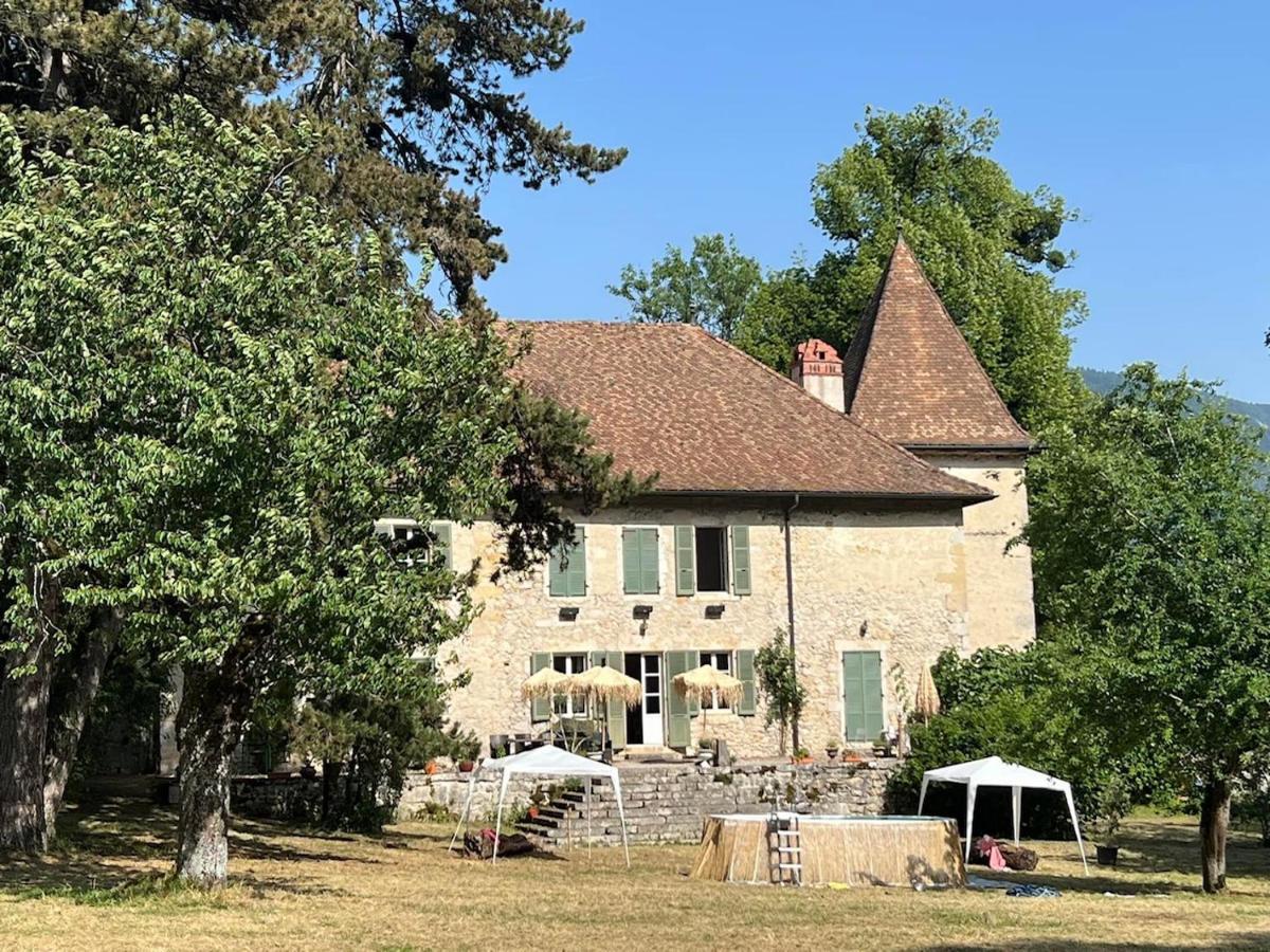 Domaine Du Tres-Haut - Chateau De Montanges Екстер'єр фото