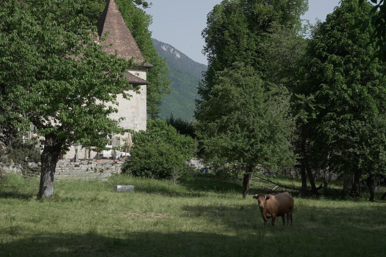 Domaine Du Tres-Haut - Chateau De Montanges Екстер'єр фото