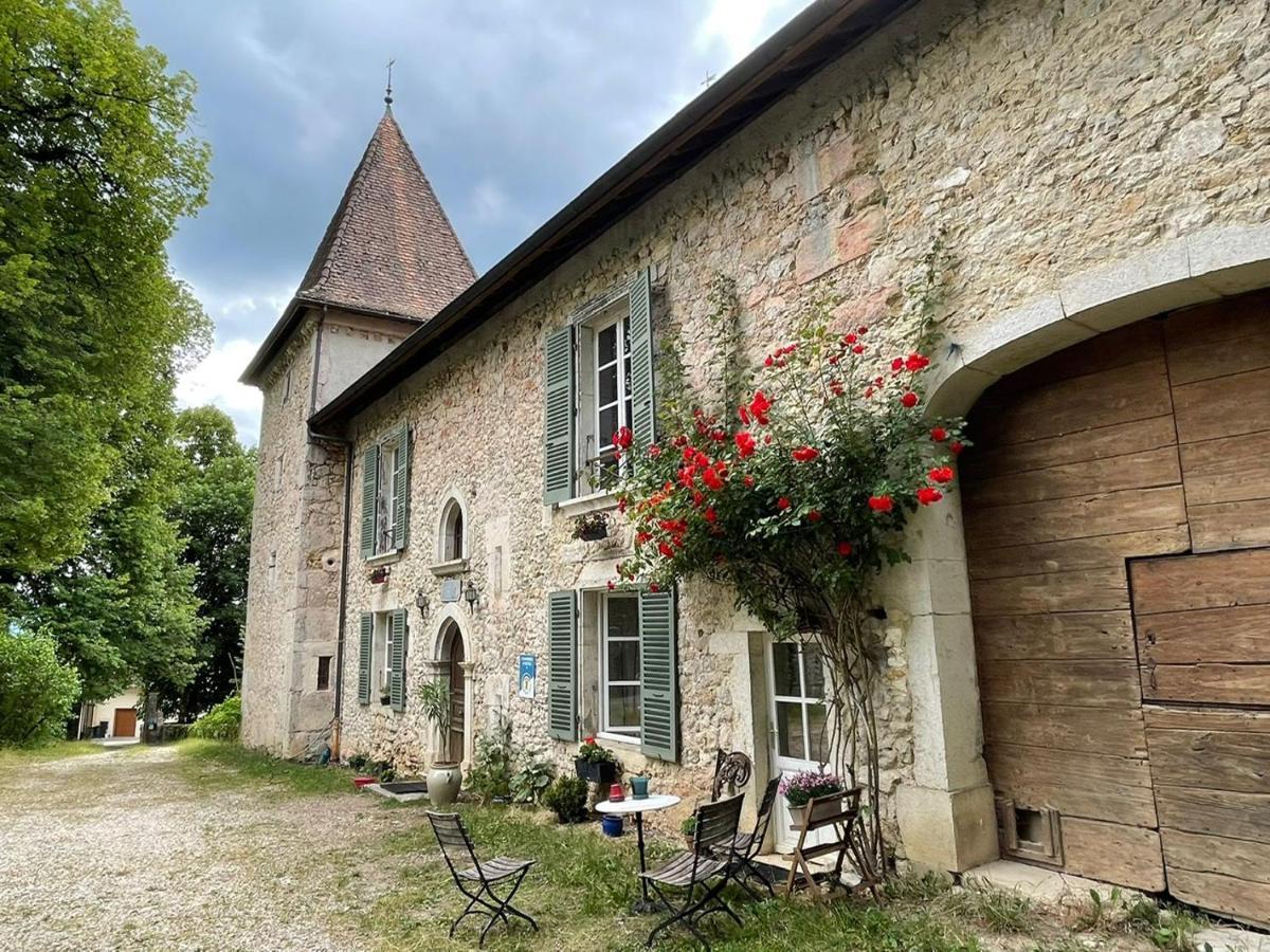Domaine Du Tres-Haut - Chateau De Montanges Екстер'єр фото