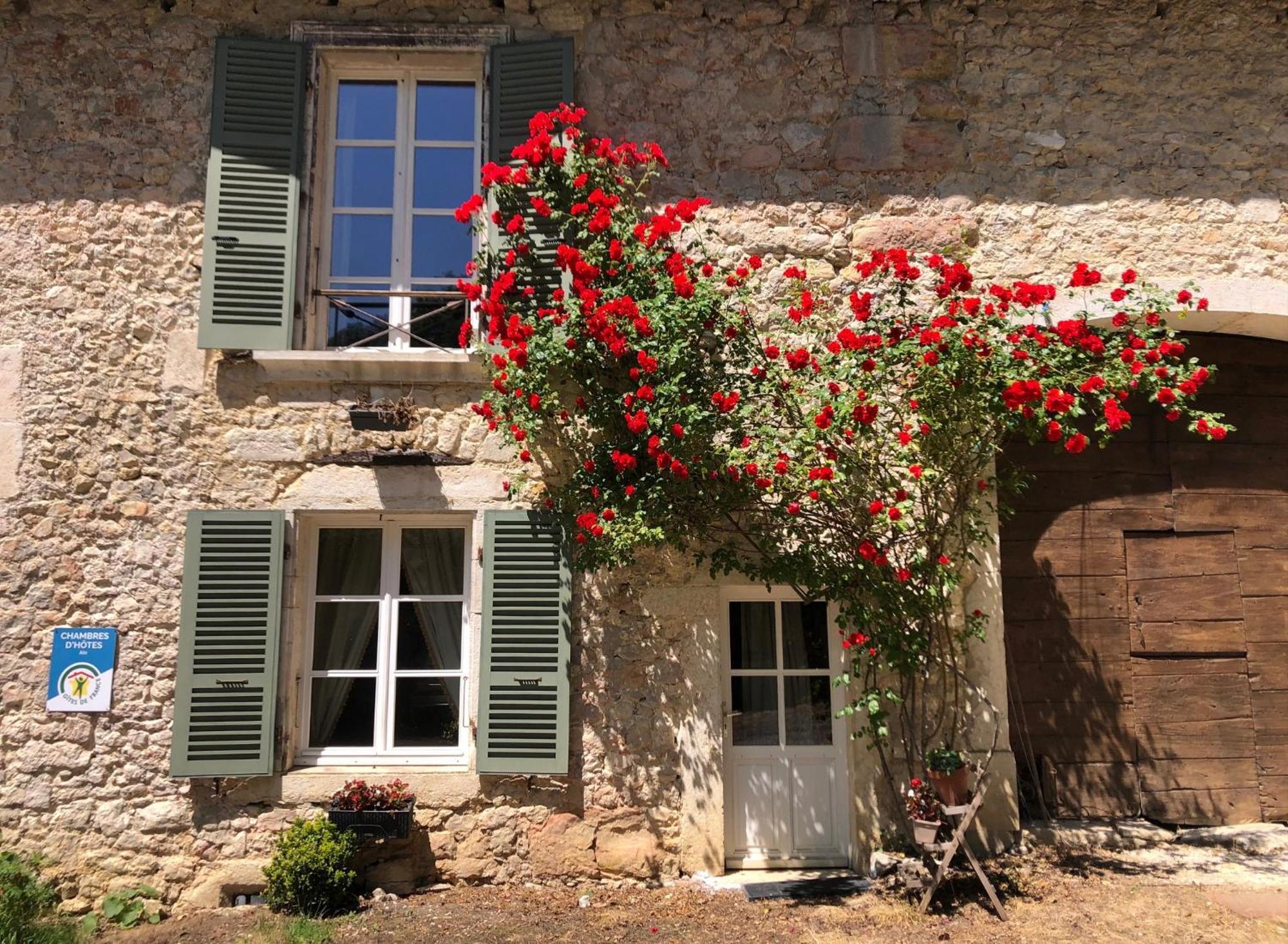 Domaine Du Tres-Haut - Chateau De Montanges Екстер'єр фото