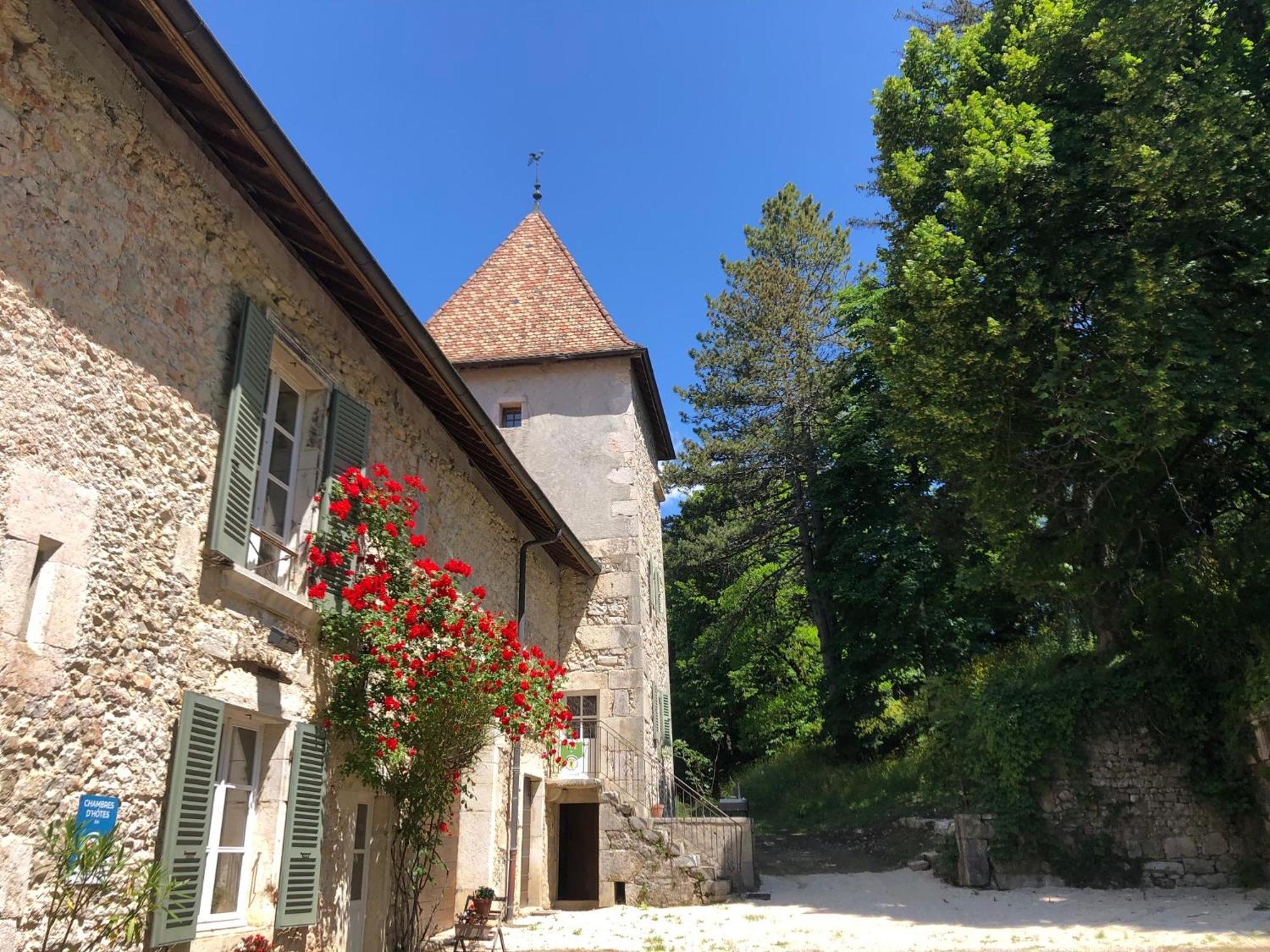 Domaine Du Tres-Haut - Chateau De Montanges Екстер'єр фото
