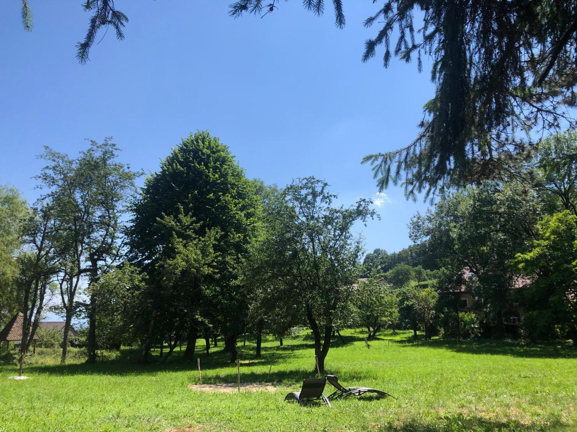 Domaine Du Tres-Haut - Chateau De Montanges Екстер'єр фото