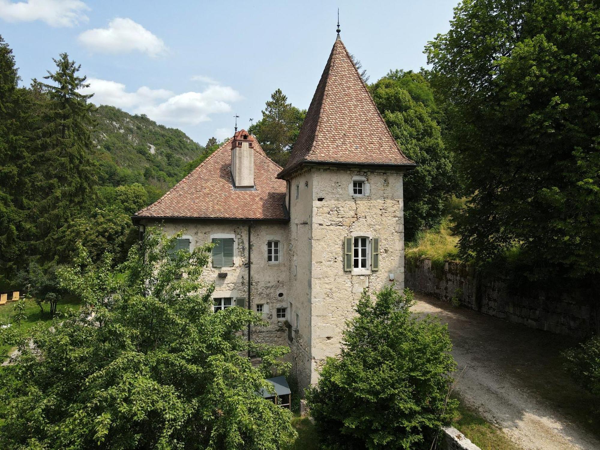 Domaine Du Tres-Haut - Chateau De Montanges Екстер'єр фото